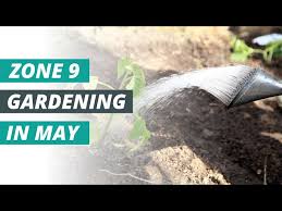 May Gardening Tips Tasks For Zone 9