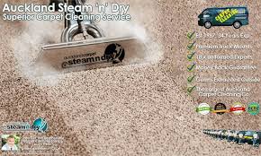 carpet cleaning services by auckland