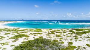Llená el formulario de contacto. Boca Grandi Beach Aruba Der Beste Kitesurf Strand Der Karibik