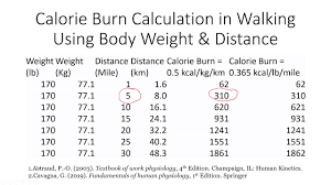 calorie burn calculation in walking
