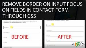 remove border on focus input textbox