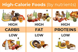 high calorie foods to gain healthy