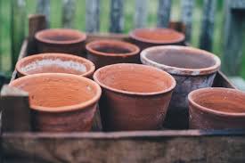 grow plants in terra cotta pots