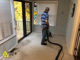deep clean carpet cleaning bizzy b s