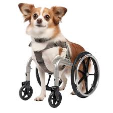 dog wheelchair pet leg diity dog