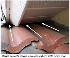 problems with barrel tile roof rats