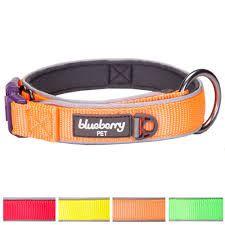 Blueberry Pet Soft Comfy Summer Hope 3m Reflective Padded