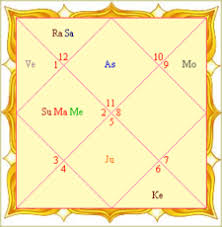 Astrologer Kundli Making Janam Kundli Horoscope Janma