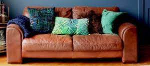leather sofa cleaning services