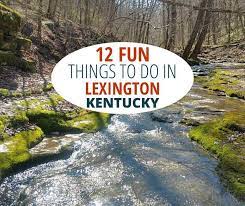 12 things to do in lexington cky