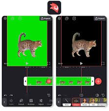 12 best free green screen apps for