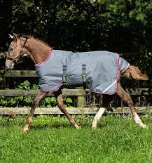 amigo foal rug suitable for foals from