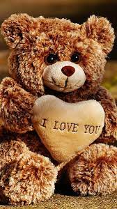 hd i love you bears wallpapers peakpx