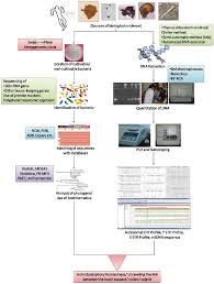 Figure 16 3 From Dna Fingerprinting Advancements And Future
