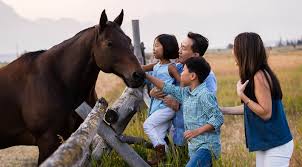 wyoming guest ranch family experience