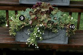 10 plants for year round containers