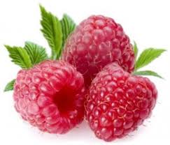 Most dogs enjoy eating raspberries from your hand. Go Easy When Giving Your Dog Raspberries Here S Why