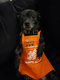 Will home depot cut these 12 foot pieces to 7foot pieces. My Chihuahua Got An Apron Just Like His Dad Store 1521 Homedepot