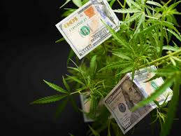 Too small and the air conditioner will be working too hard, the room will not be cool enough and you may get condensation problems. How To Calculate The Profits Costs Of Growing Cannabis