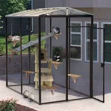 outdoor cat cages custom build your