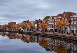 things to do in haarlem holland s best
