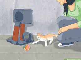 3 ways to keep cats off furniture wikihow