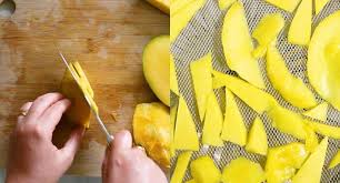 dehydrated mango recipe video