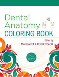 Get book file pdf physiology students selftest coloring book. Download Dental Anatomy Coloring Book 3rd Edition Pdf Free