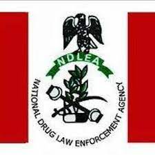 Drug Abuse: US To Support NDLEA On Forensic Analysis, Others