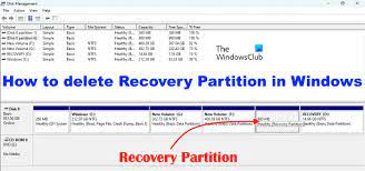 how to delete recovery parion in
