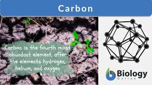 carbon definition and exles