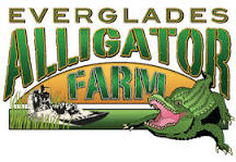 Everglades Alligator Farm de Homestead | Horario, Mapa y entradas 3