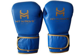 best boxing gloves 2024 coach s top