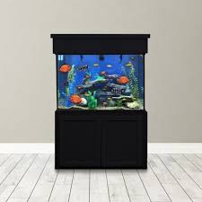 150 gallon tall aquarium custom gl