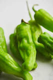 Can you eat the stems of shishito peppers?