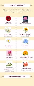 flowers name in hindi and english 20