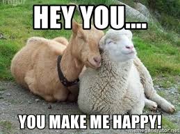 Unkilled i've been thinking and. Hey You You Make Me Happy Goat Sheep Meme Generator