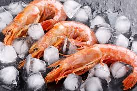 argentinian red shrimp everything you
