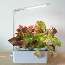 Thanks to the brand's proprietary spectrum with 460 to 465 nm, 620 to 740 nm, and a 6,000 to 6,500 k waveband, it provides indoor plants with a diverse range of light. China Smart Hydroponic Led Plant Grow Light China Plant Grow Light Led Grow Light