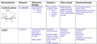 Biology Macromolecule Assessments With Chart