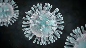 La prueba, con la que suiza busca. Coronavirus Esta Es La Cronologia Del Covid 19 En El Peru Y El Mundo Rpp Noticias