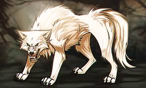 Useful drawing references and sketches for beginner artists. How To Draw A White Wolf Step By Step Drawing Guide By Dawn Dragoart Com