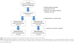 Care of the Chronic Respiratory Client   ppt download respiratory system  D