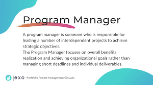 what is program manager definition