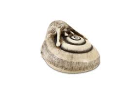 This sculpture has the dimensions of 6 in x 3 in x 5. Lot Art An Ivory Netsuke Of A Snail 19th Century