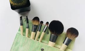 ecotools makeup brush review ging