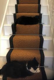 pets and stair runners s