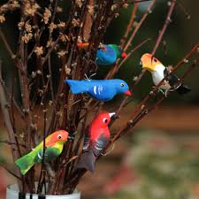 Brazilian Bird Ornaments For Display