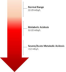 Metabolic Acidosis Wikipedia