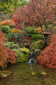 Autumnal Foliage And Stream In Japanese